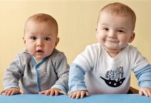 استعدادیابی کودکان- سایت تخصصی روانشناسی دکتر کامیار سنایی