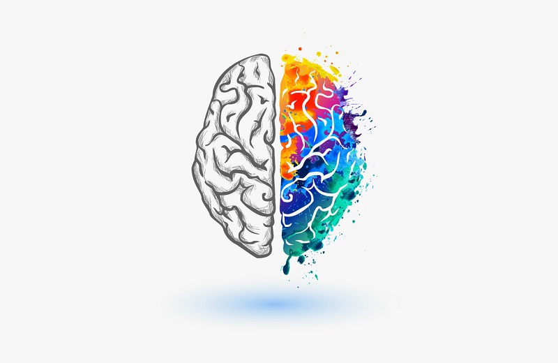 روانشناسی رنگها- دکتر کامیار سنایی روانشناس